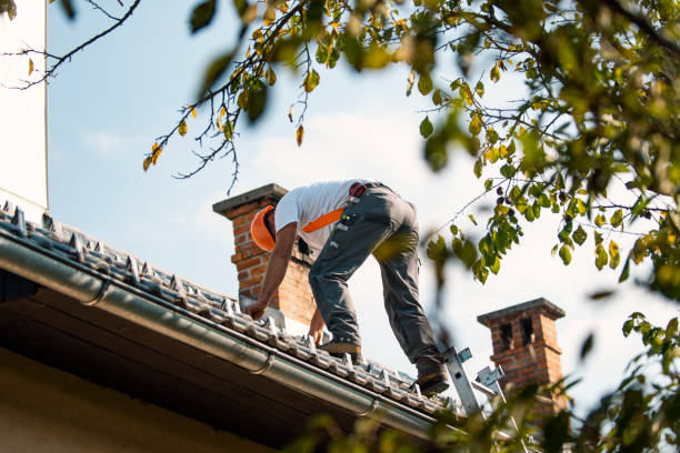 Best Sealant for Roof  in Monte Alto, TX