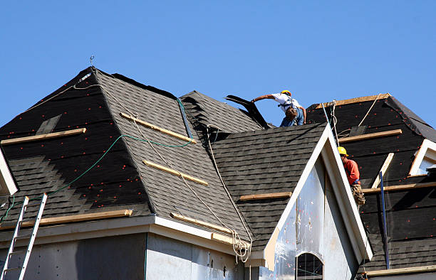 Best Storm Damage Roof Repair  in Monte Alto, TX
