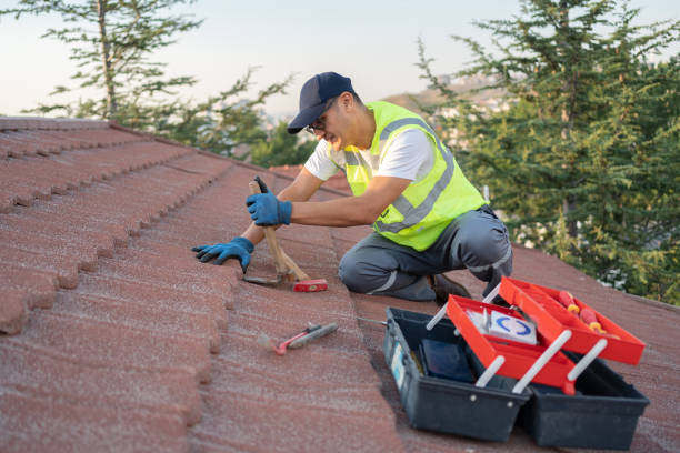 Best Roof Waterproofing Services  in Monte Alto, TX