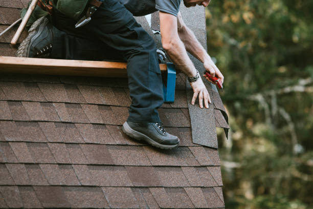 Best Local Roofing Companies  in Monte Alto, TX