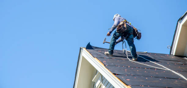 Best Best Roofing Contractors  in Monte Alto, TX